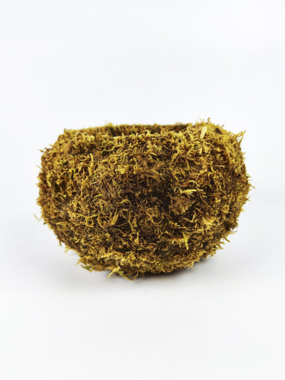 Maceta Kokedama L_4