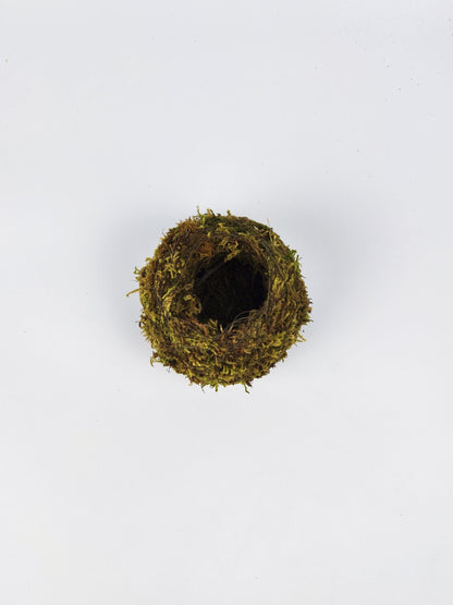 Maceta Kokedama S_1