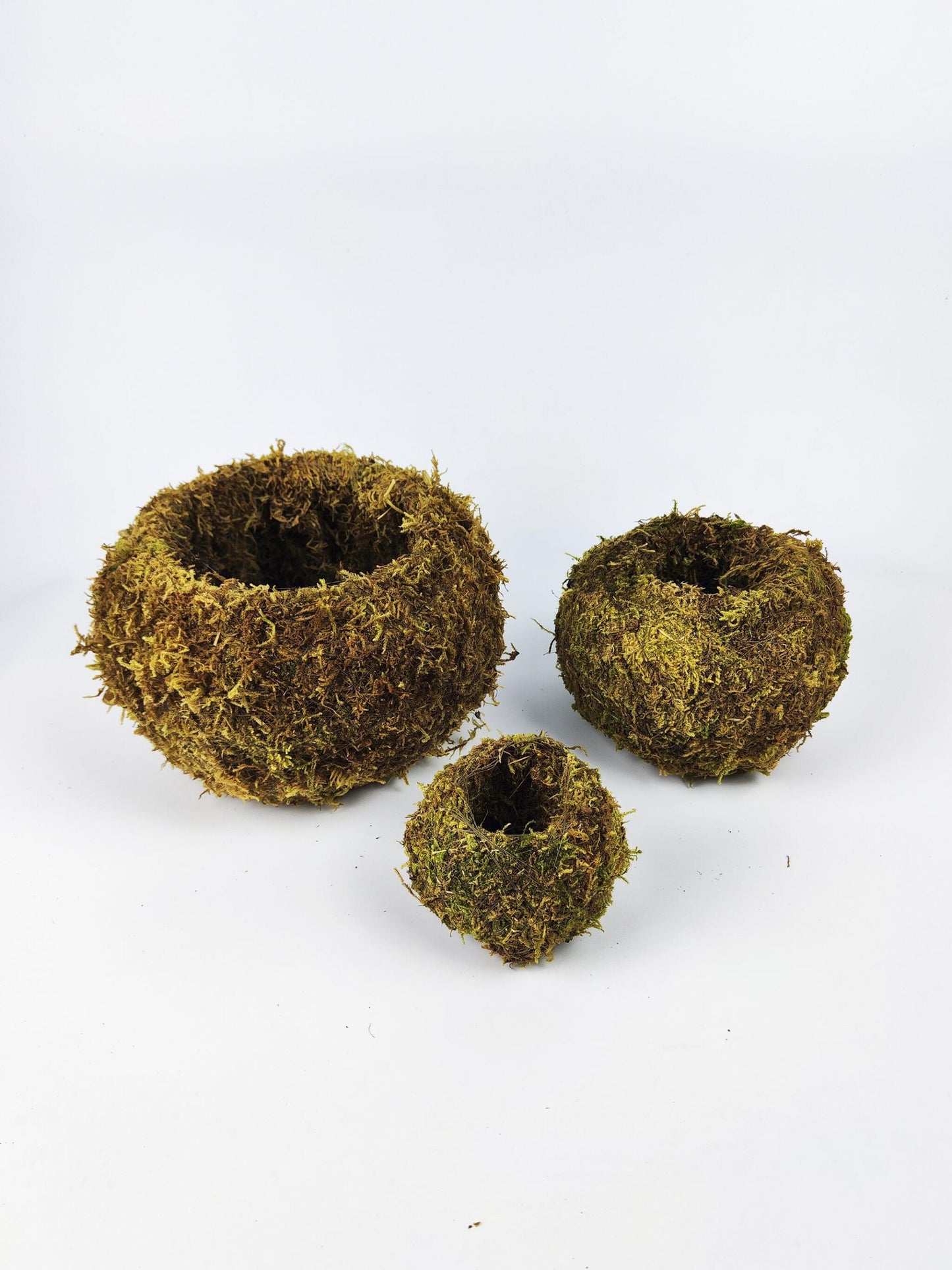 Maceta Kokedama S_3