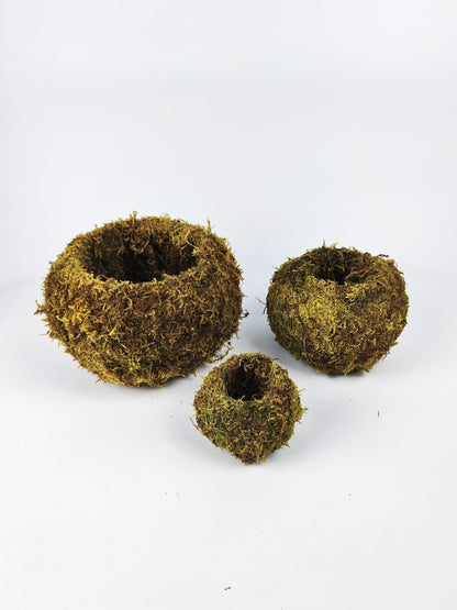 Maceta Kokedama S_3