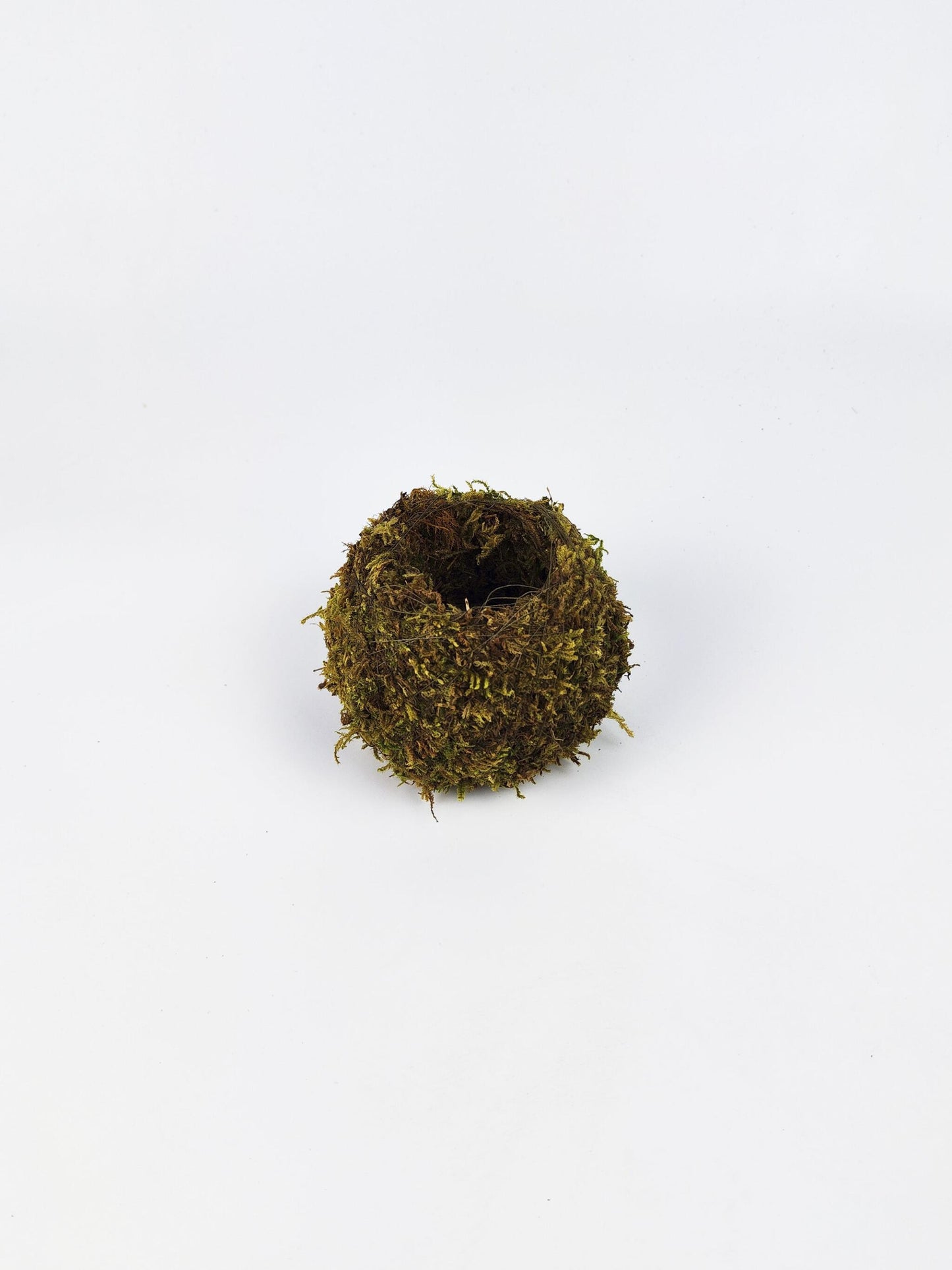 Maceta Kokedama S_4