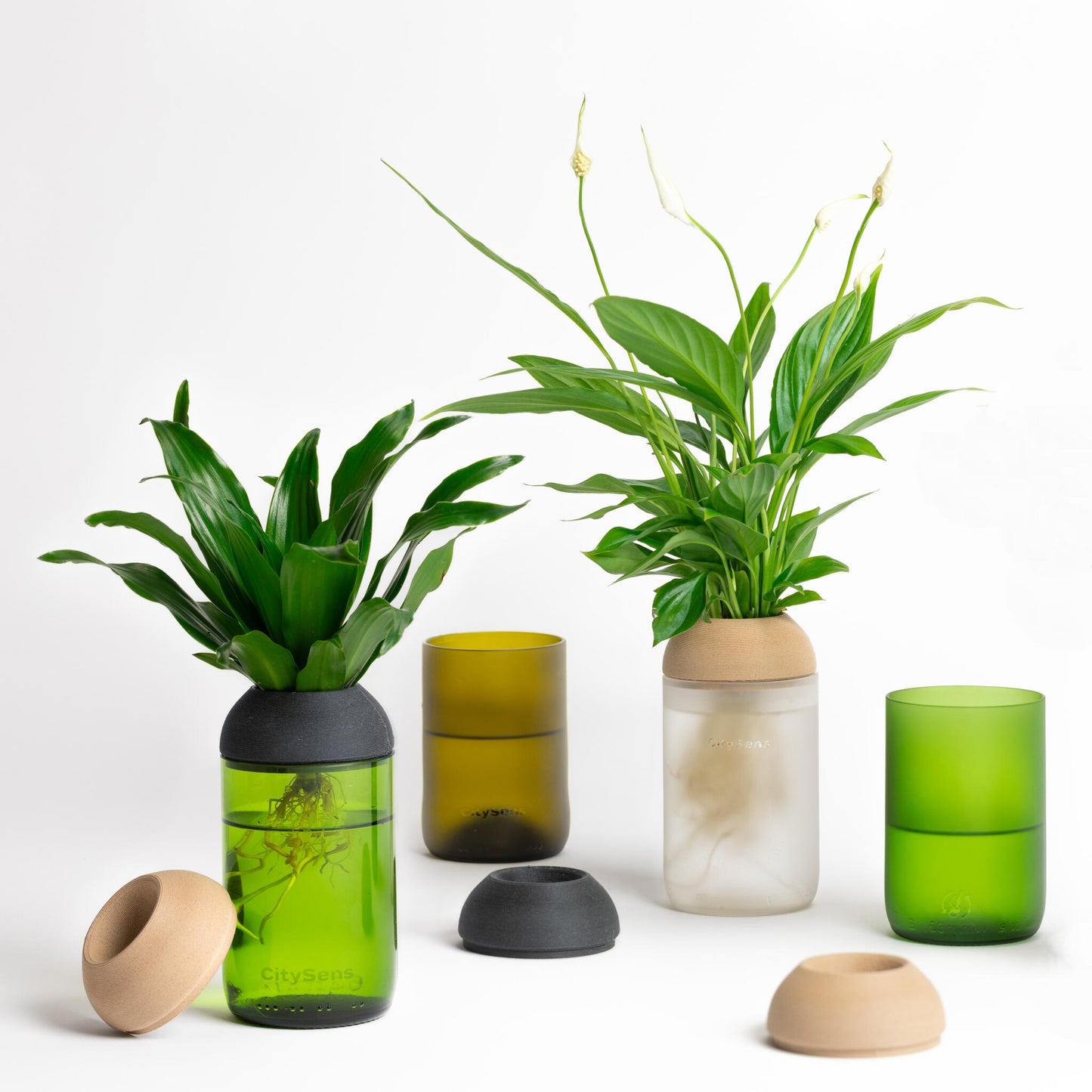 Macetero Transparente Citysens Con Planta Y Soporte De Pino – Blanco Matizado, Vidrio Reutilizado Y Biofilamento 3d_1