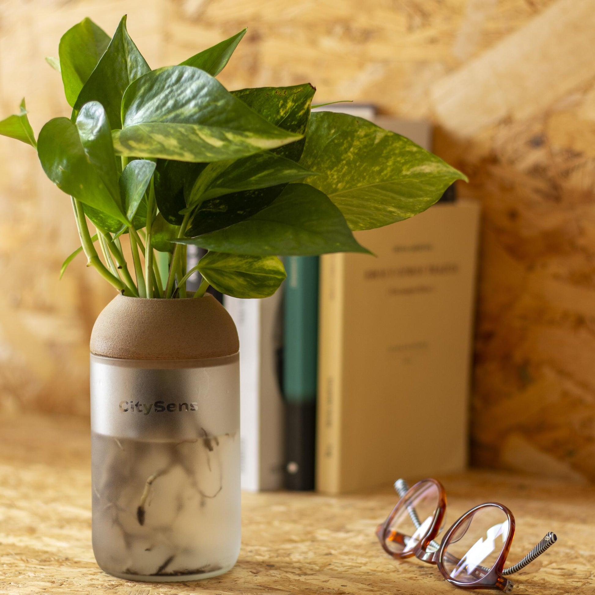 Macetero Transparente Citysens Con Planta Y Soporte De Pino – Blanco Matizado, Vidrio Reutilizado Y Biofilamento 3d_2