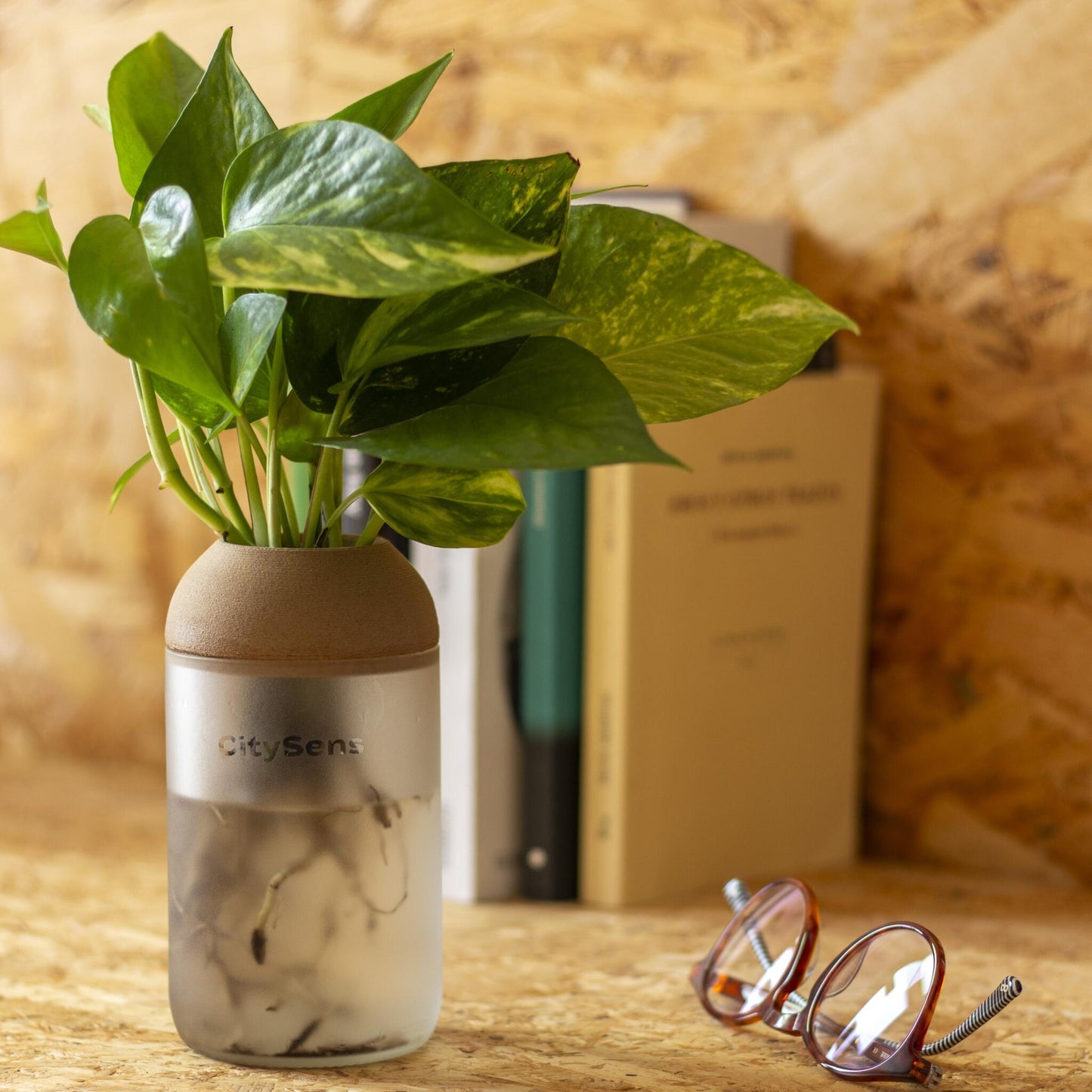 Macetero Transparente Citysens Con Soporte De Pino – Blanco Matizado, Vidrio Reutilizado Y Biofilamento De Madera 3d_2