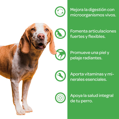 Multivitaminico Para Perros_1