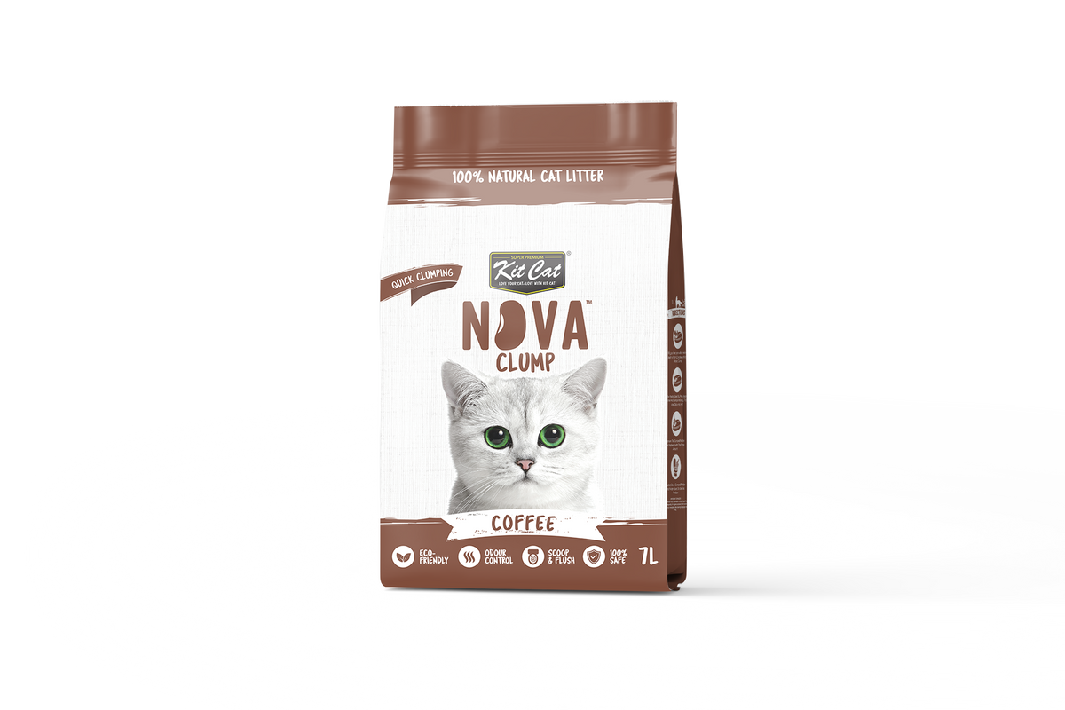 Kit de areia para gatos Eco SoyaClump - Areia para gatos Coffee 7 L