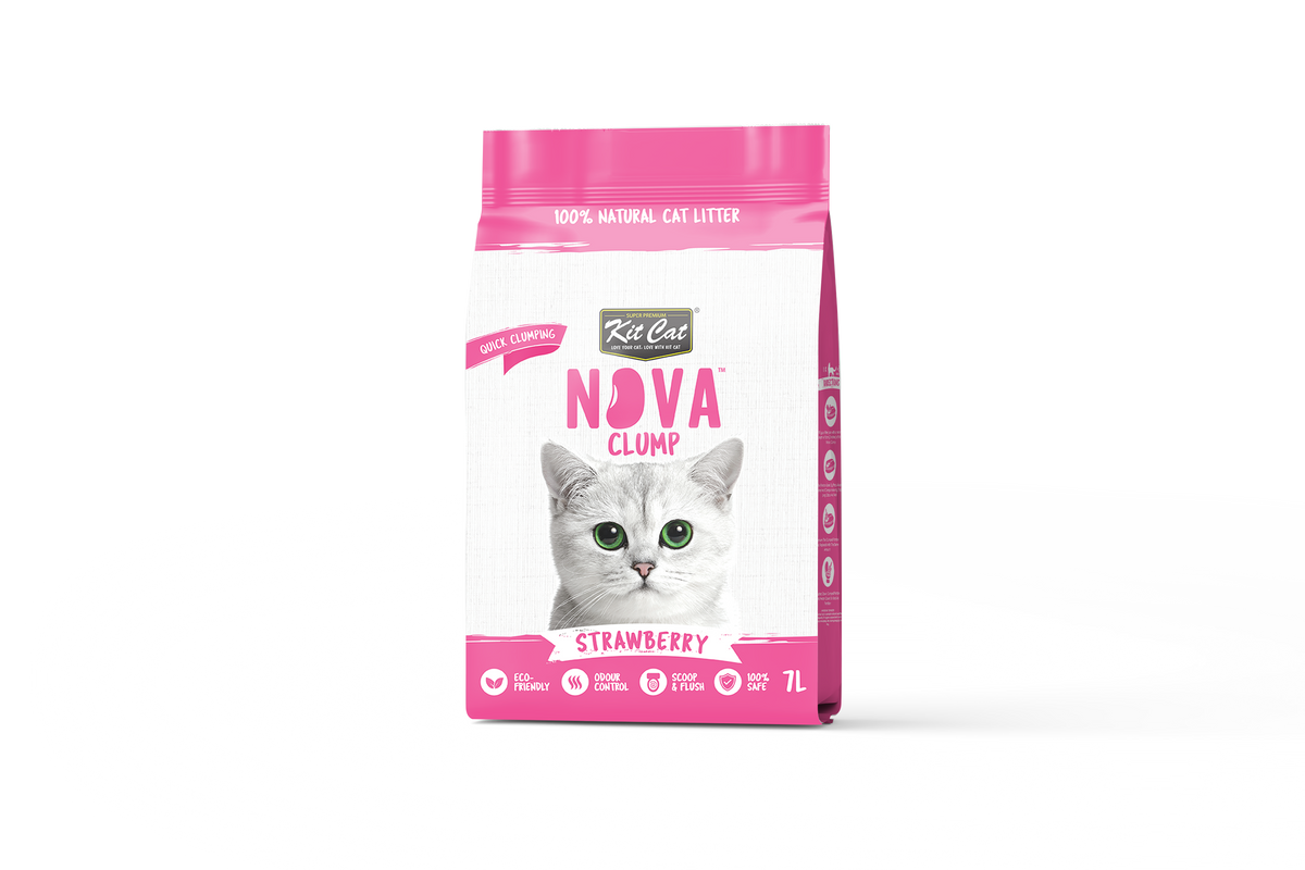 Kit de areia para gatos Eco SoyaClump - Areia para gatos morango 7 L