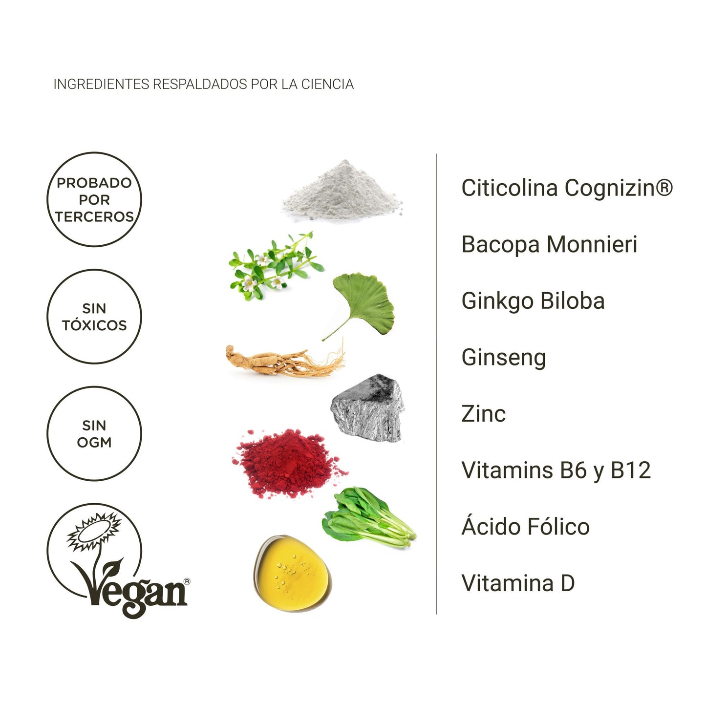 Nootrópico cognizin – memoria, concentración y claridad mental con bacopa y ginkgo (60 cápsulas)_3