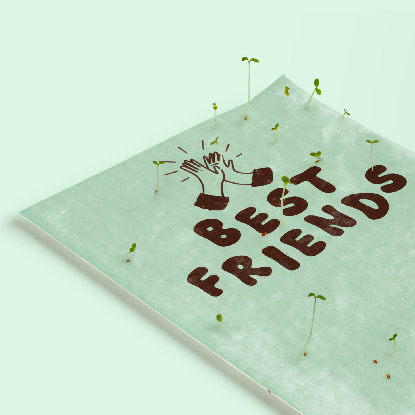 Pack 3 Postales Plantables – Best Friends, Flower Power Y Enjoy The Little Things - Resetea_5