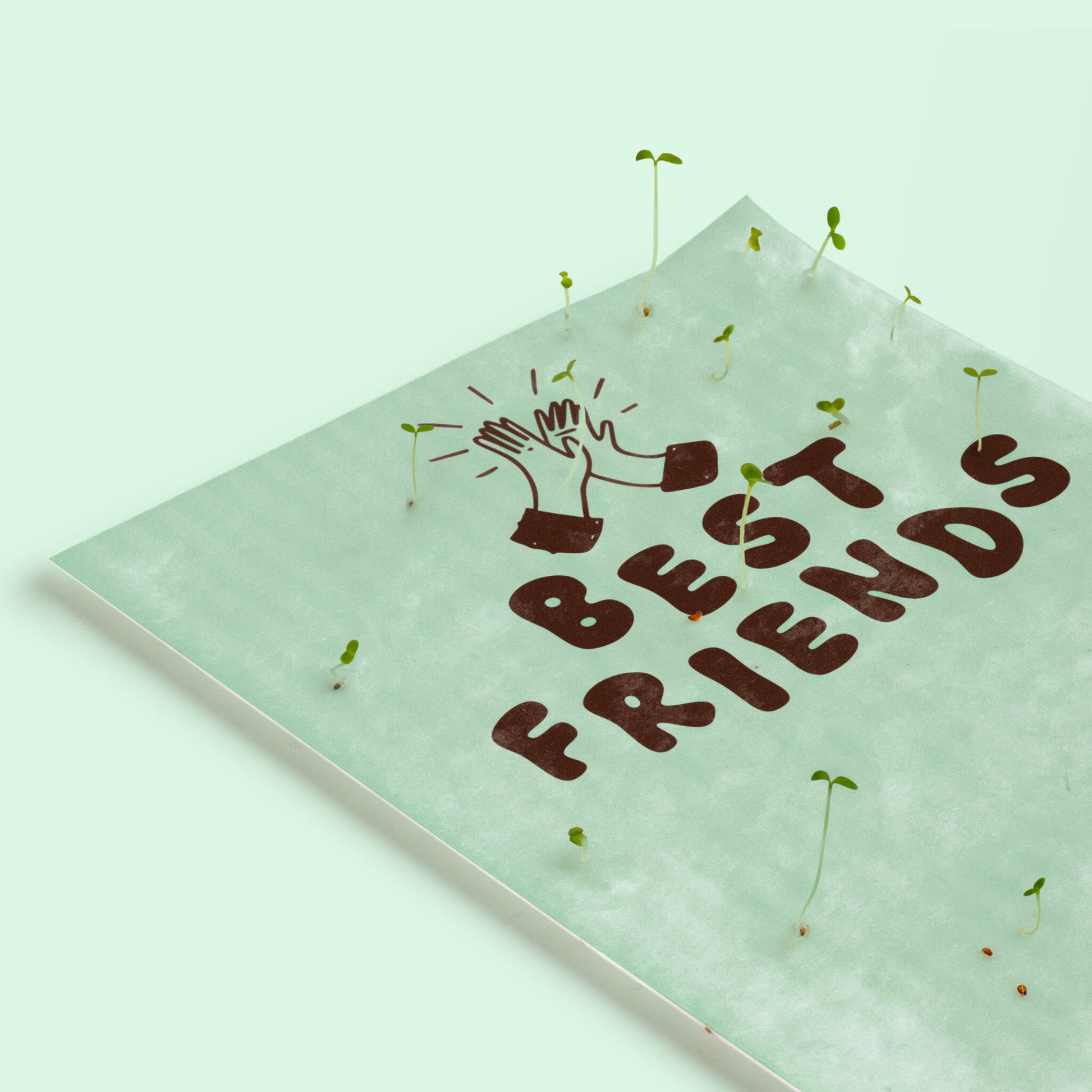 Pack 3 Postales Plantables – Best Friends, Flower Power Y Enjoy The Little Things - Resetea_5