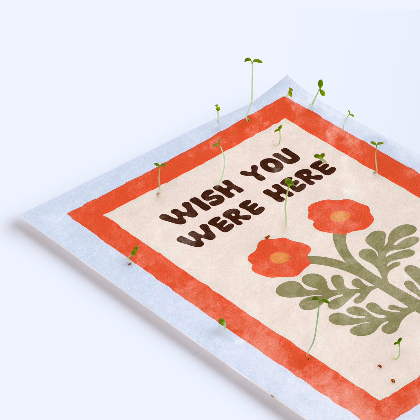 Pack 3 Postales Plantables – Grow With The Flow, Have A Nice Day Y Wish You Were Here - Resetea_5
