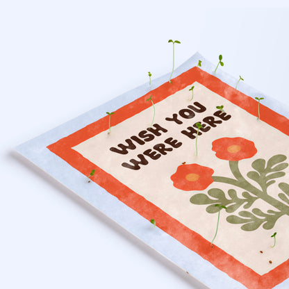 Pack 3 Postales Plantables – Grow With The Flow, Have A Nice Day Y Wish You Were Here - Resetea_5