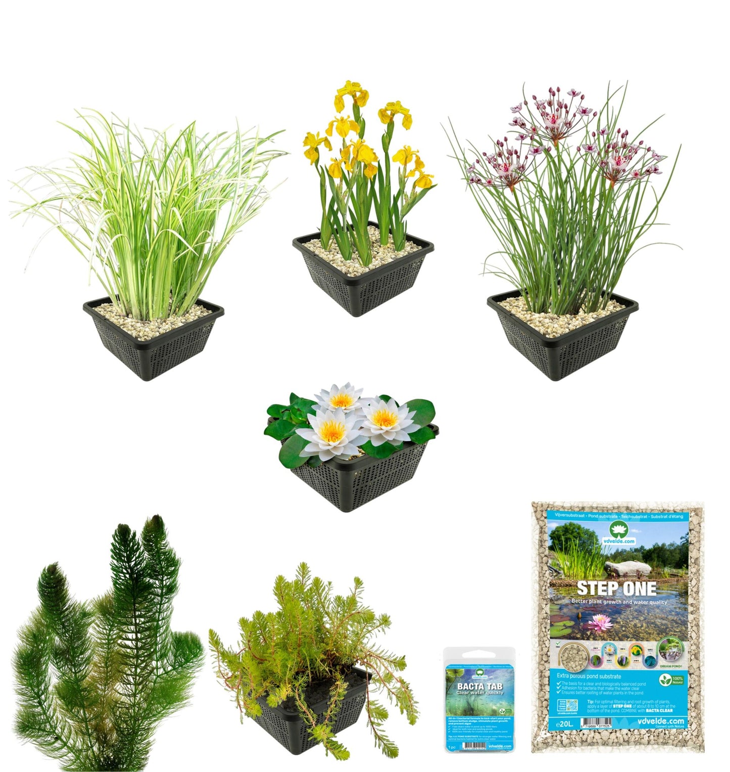 Pack Completo Estanque Autóctono 100-400l - Oxigenantes & Ribera_2