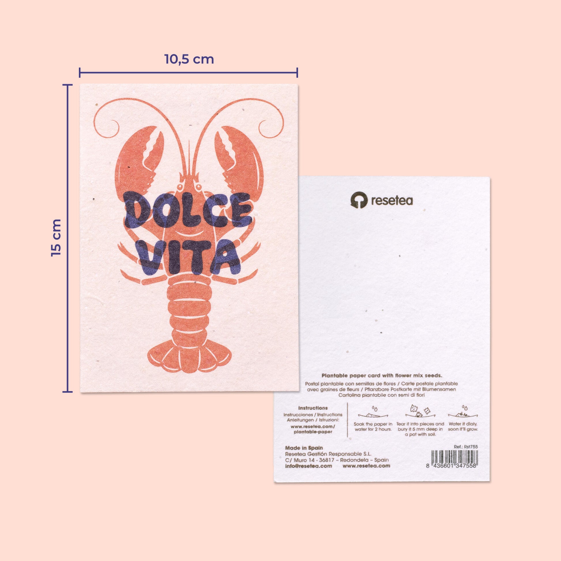 Pack De 3 Postales Plantables – Summer Mood Collection_1
