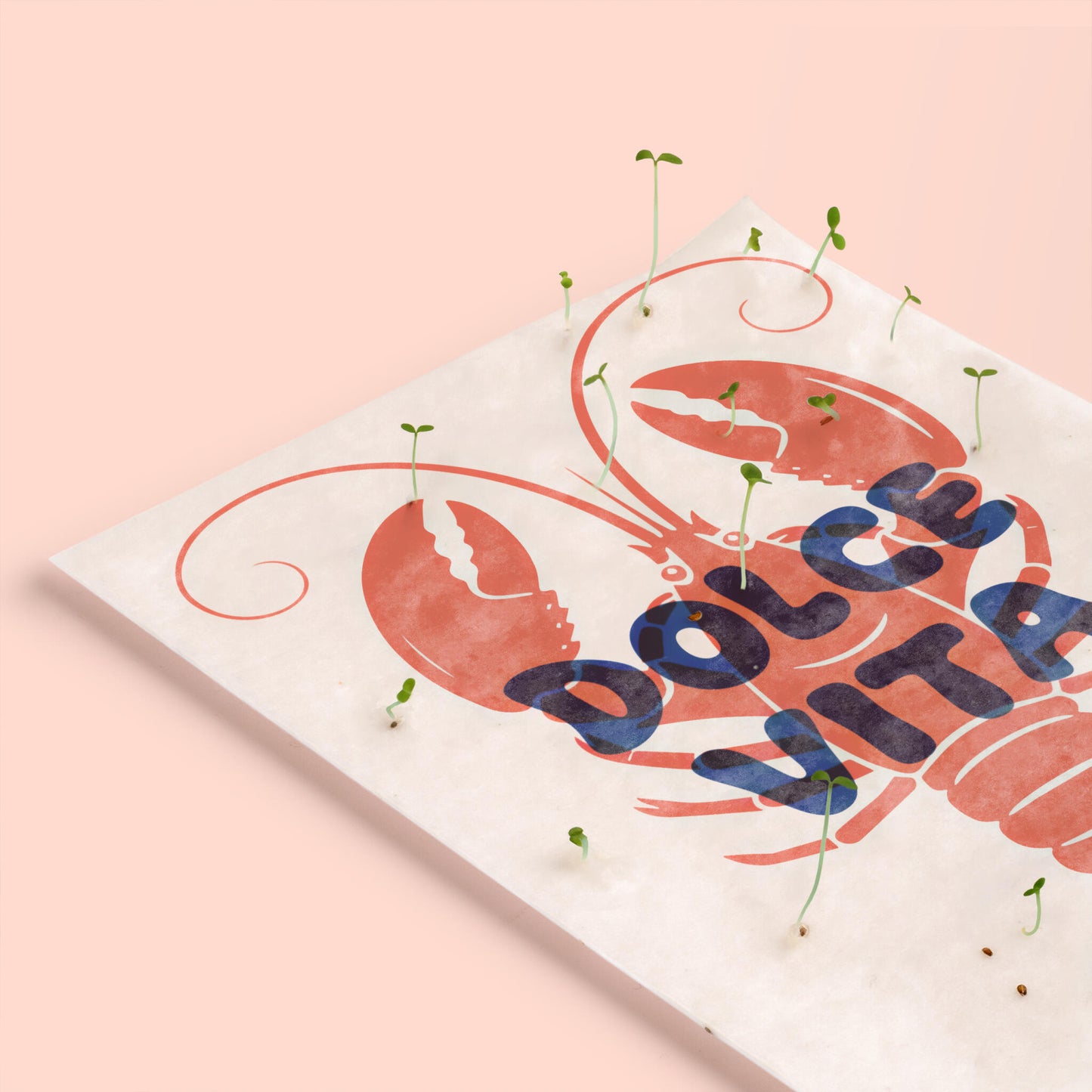 Pack De 3 Postales Plantables – Summer Mood Collection_4