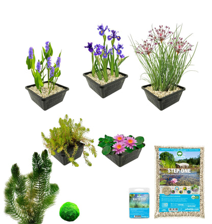 Pack Estanque Rosa 100-400l - Oxigenantes & Ribera_2