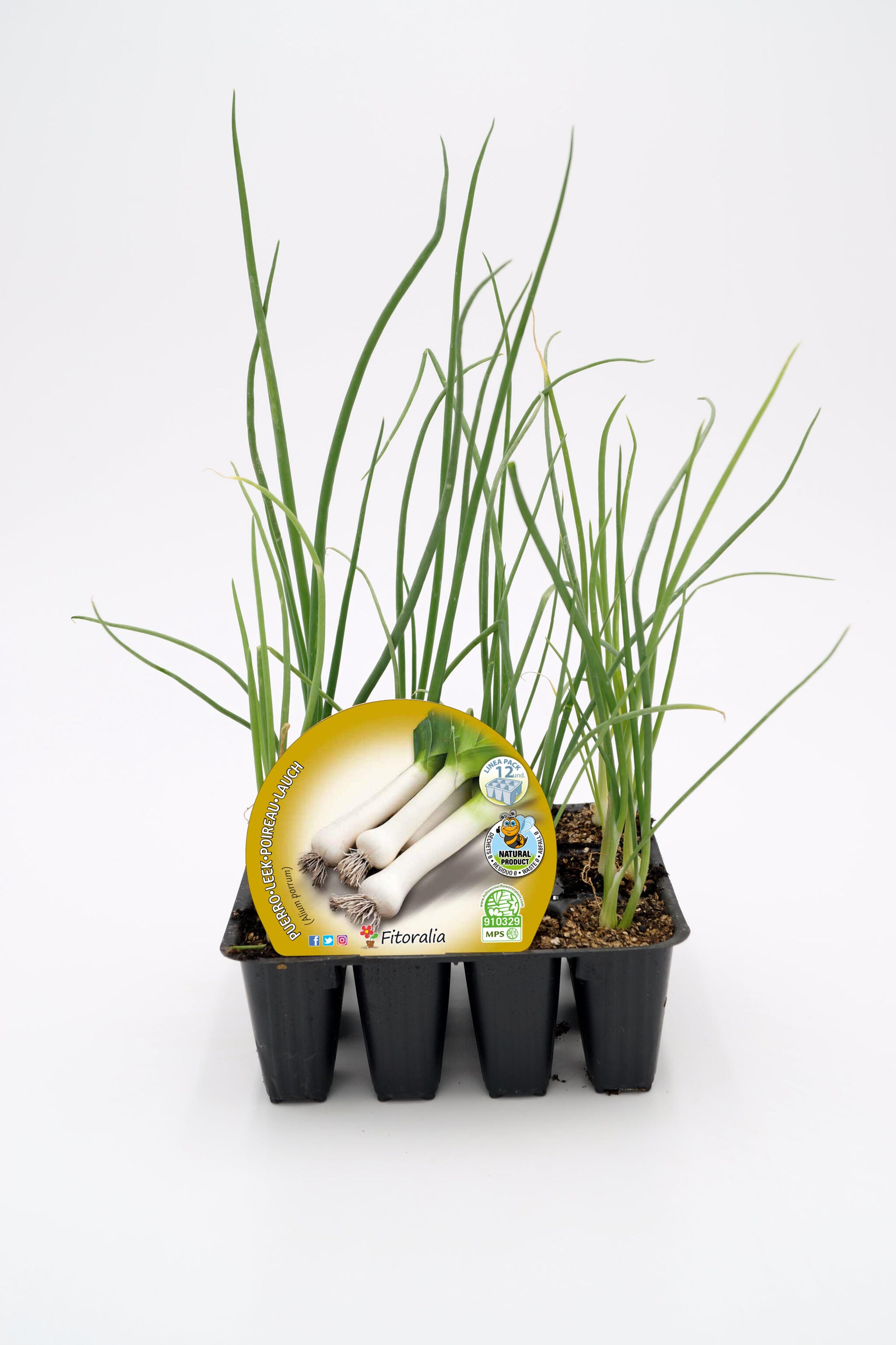 Pack Plantones Puerro 12 Ud. Natural - Fitoralia_0