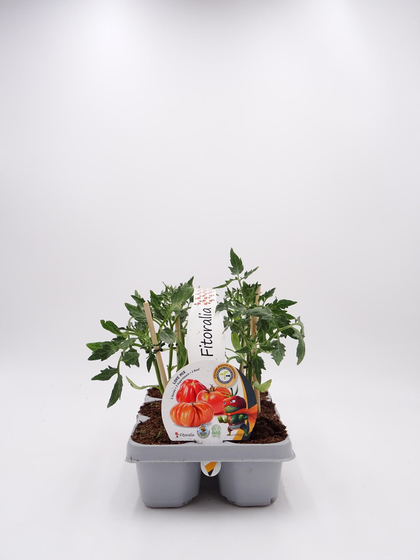 Pack Plantones Tomates Love Mix Injertados E Hibridos 6 Ud. Natural – Fitoralia_0