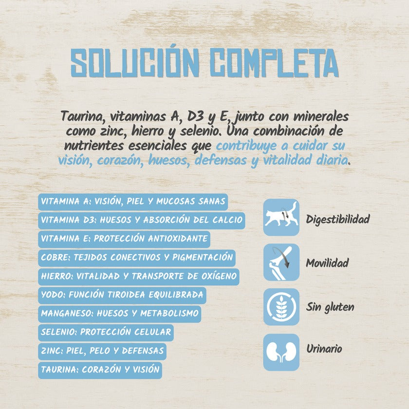 Paté Completo para Gatos de Cerdo con Pavo y Arándanos Lenda 400 g
