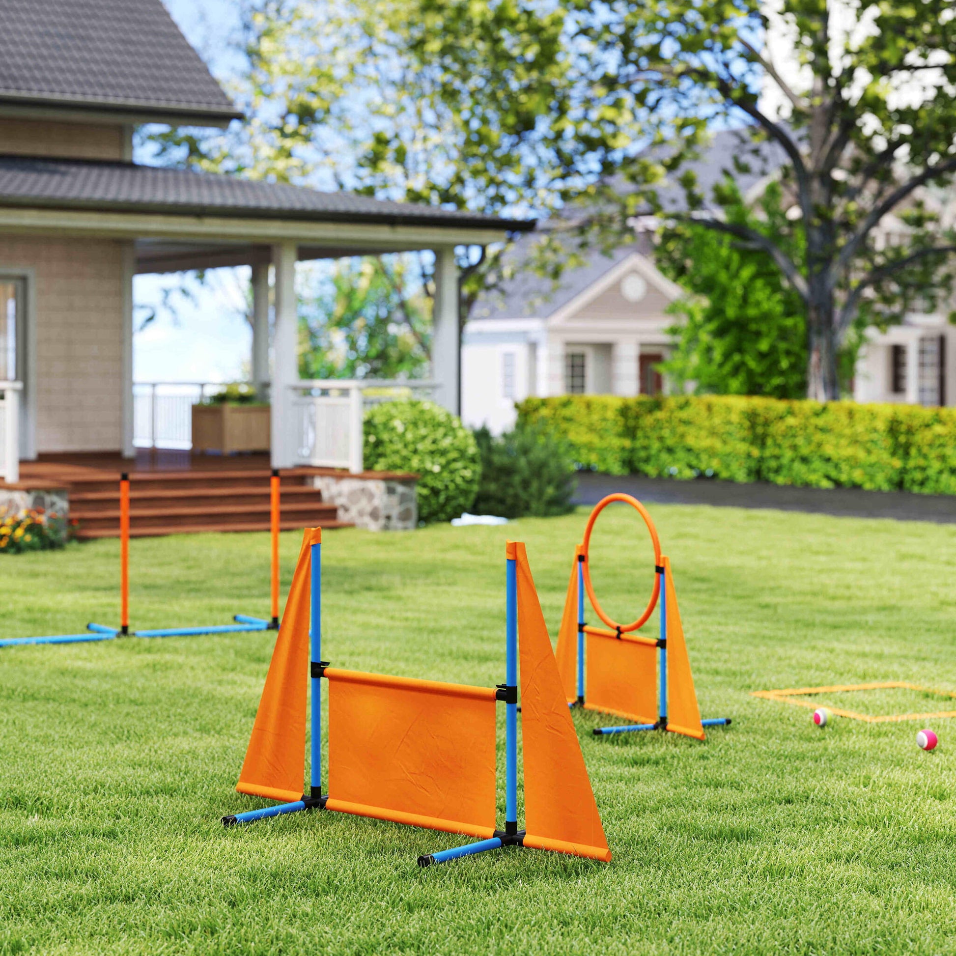 Pawhut Set De Entrenamiento De Agilidad Para Perros De 6 Piezas Naranja_4