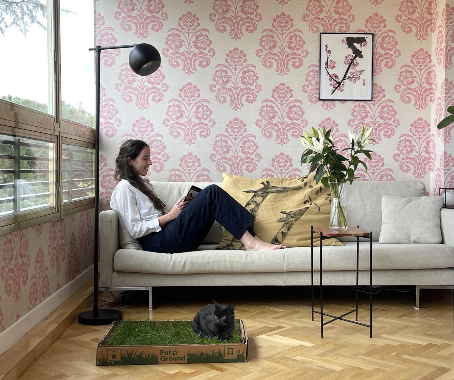 Petground, Arenero Para Gatos, Cama De Césped Natural, Hierba Gatera, Alfombra Olfativa S: 62 X 40 Cm_2