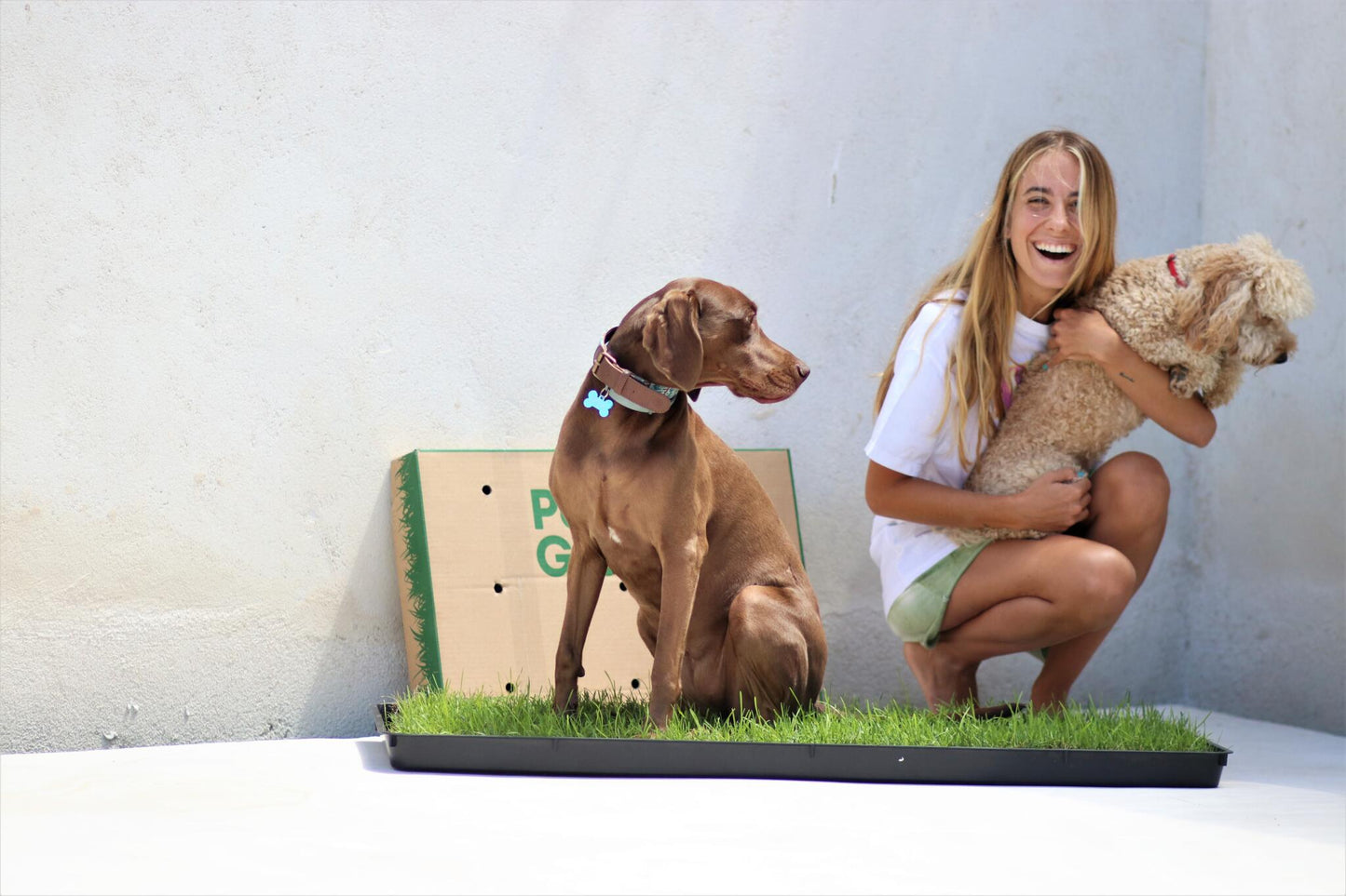 Petground, Cama Para Perros, Empapador, Alfombra Olfativa, Césped Natural, Xl_2
