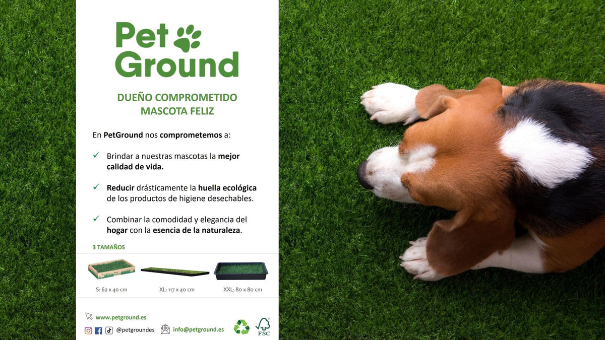Petground, Parque Para Conejos, Casa De Césped Natural Xl: 120 X 40 Cm_5