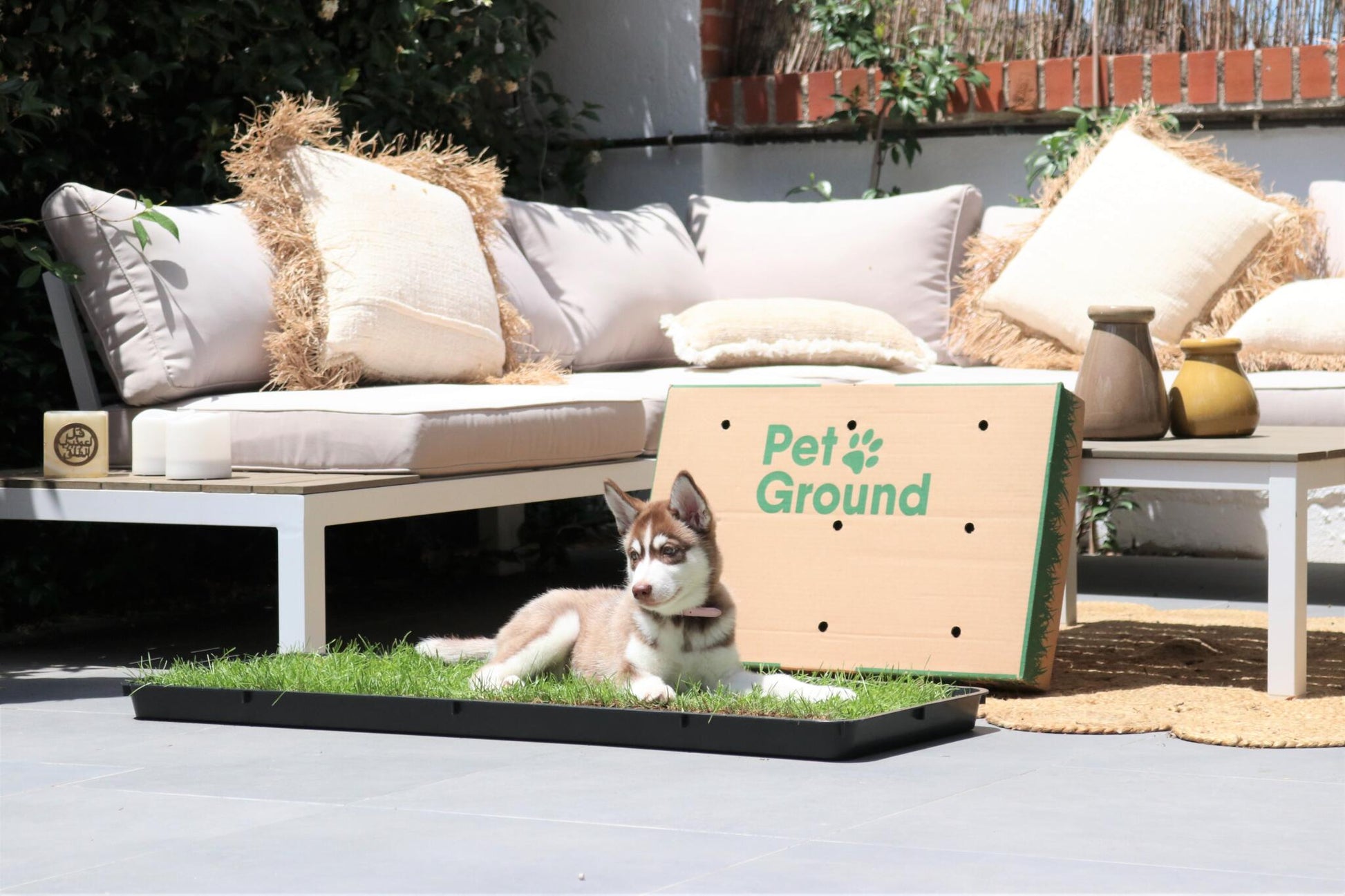 Petground Recambio XL, Cama Para Mascotas, Empapador, Alfombra Olfativa, Césped Natural_4
