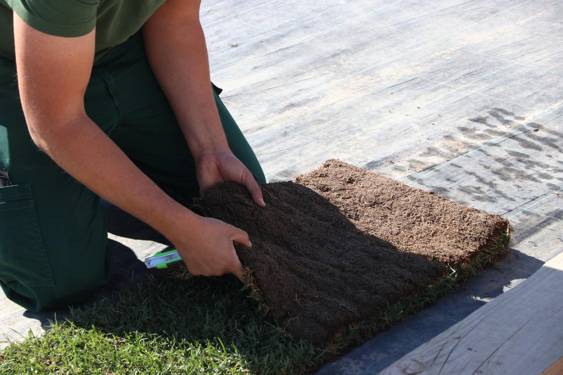 Petground Recambio XXL, Cama Para Mascotas, Empapador, Alfombra Olfativa, Césped Natural_1