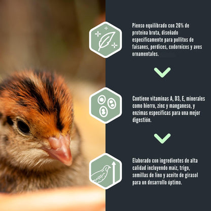 Pienso Para Pollitos: Faisanes, Perdices, Codornices - Show 1 - Alimento Equilibrado De Arranque - 20KG_2