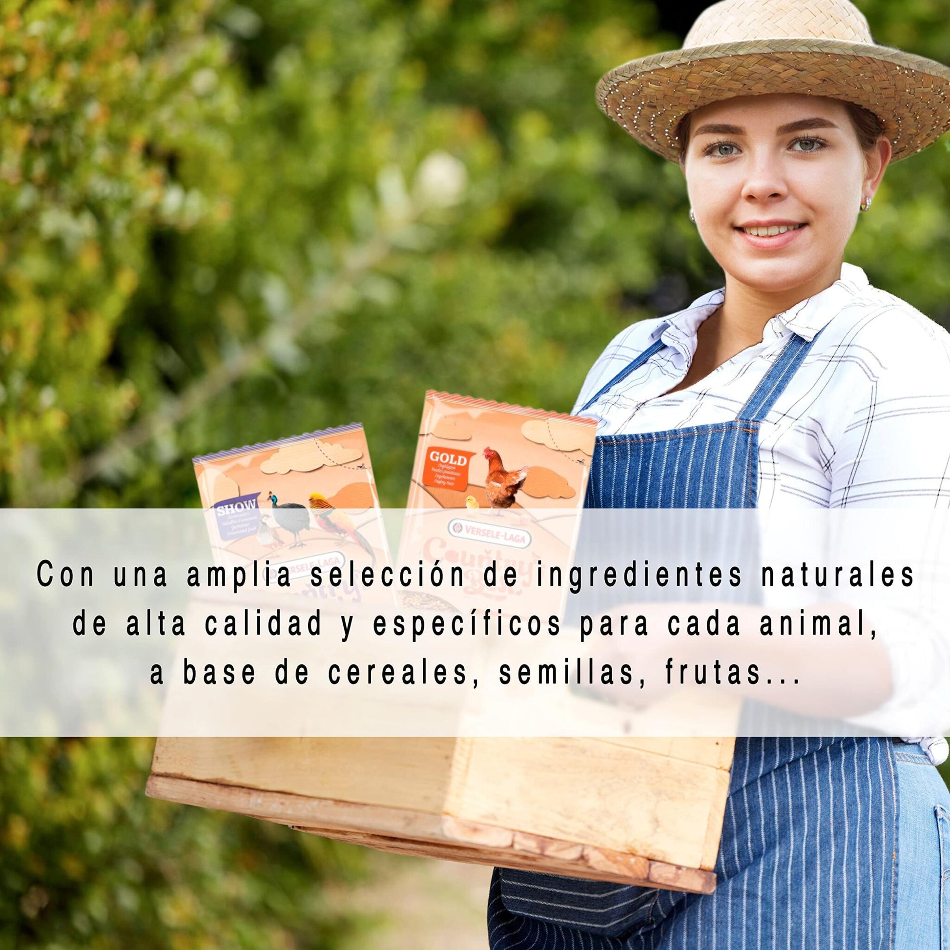 Pienso Para Pollitos: Faisanes, Perdices, Codornices - Show 1 - Alimento Equilibrado De Arranque - 20KG_4