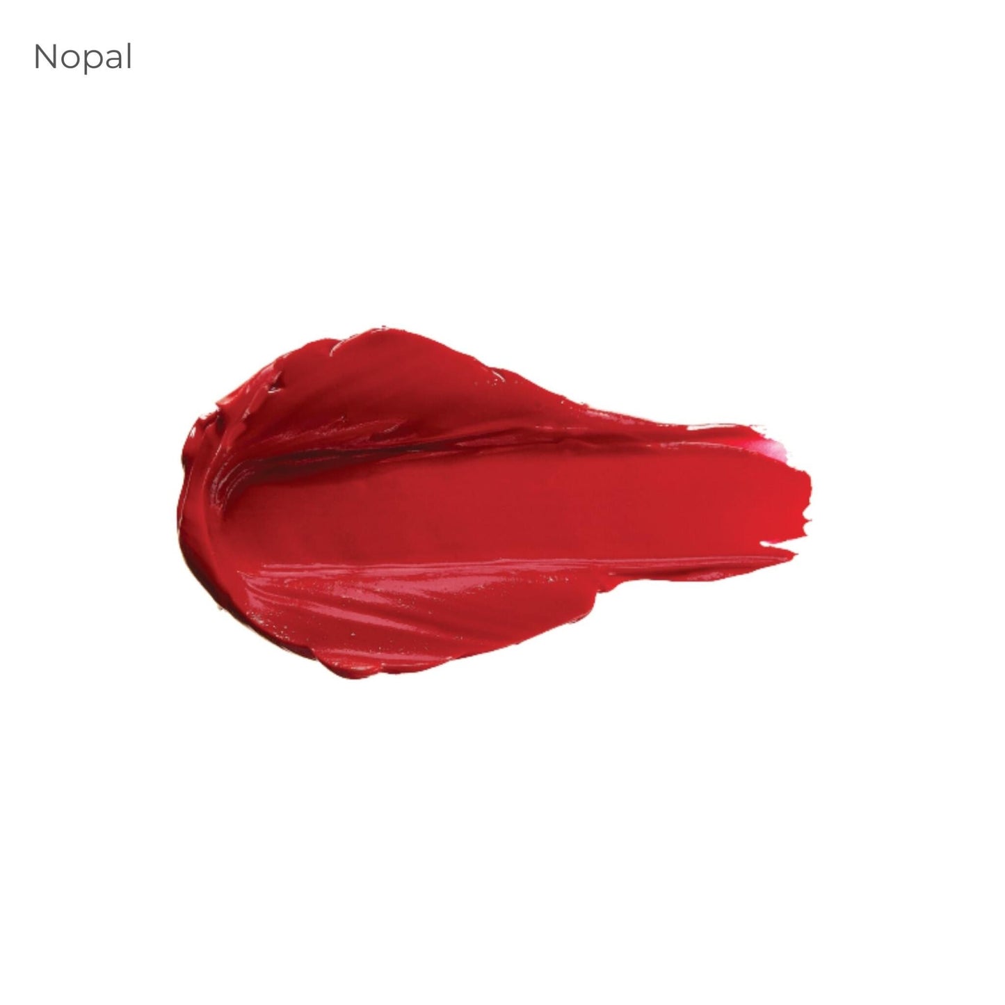 Pintalabios Nutritivo Acabado Mate Con Frutos Rojos_0