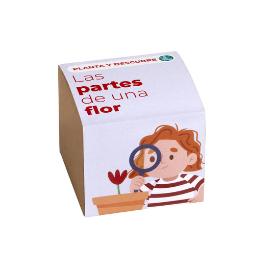 Planta y Descubre – Kit Educativo Partes de una Flor, Aprende Botánica para Niños (STEM) - Resetea_0