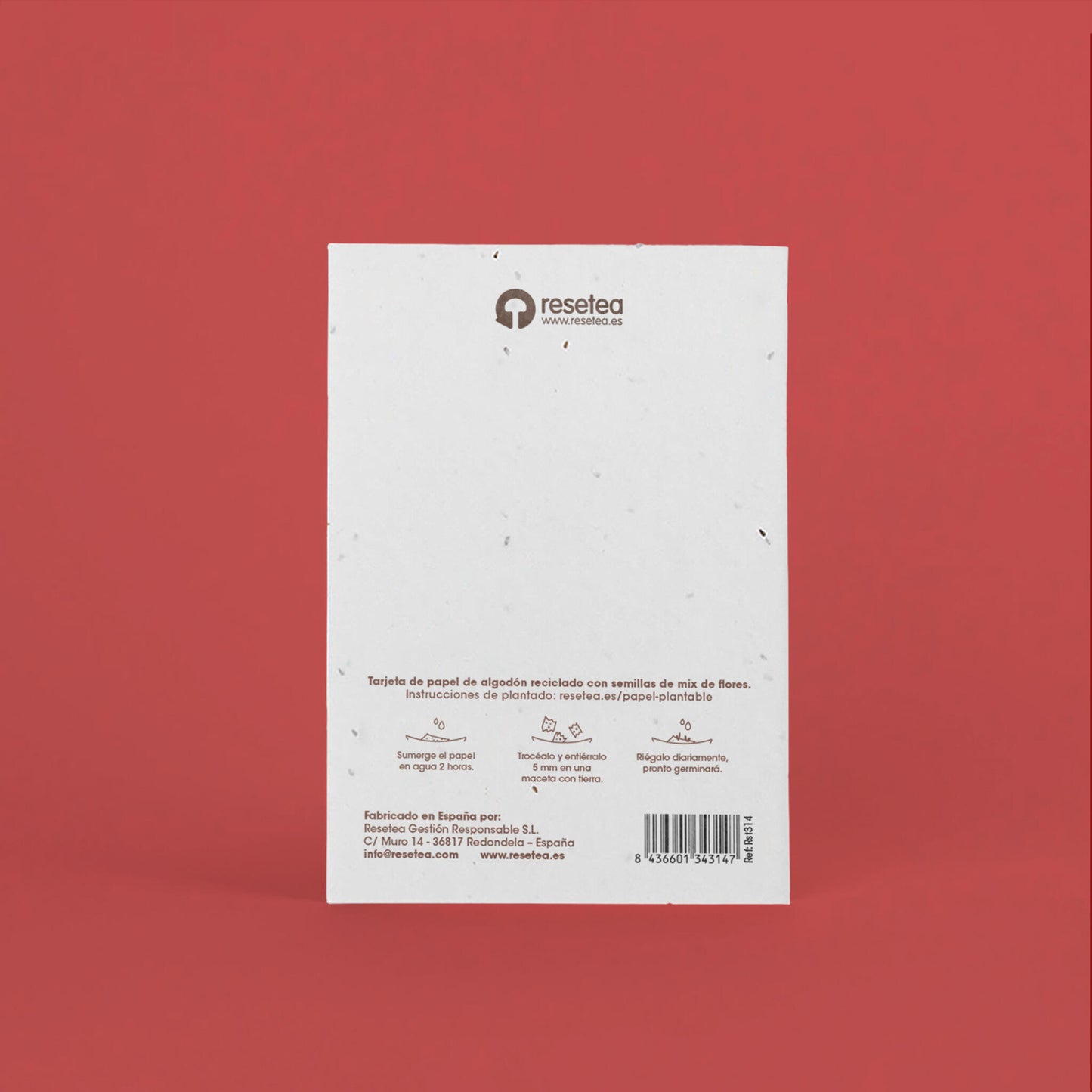 Postal Plantable Feliz Navidad Y Próspero Año Nuevo – Papel De Algodón Reciclado - Resetea_2