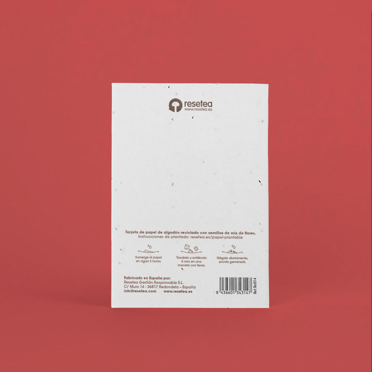 Postal Plantable Feliz Navidad Y Próspero Año Nuevo – Papel De Algodón Reciclado - Resetea_2