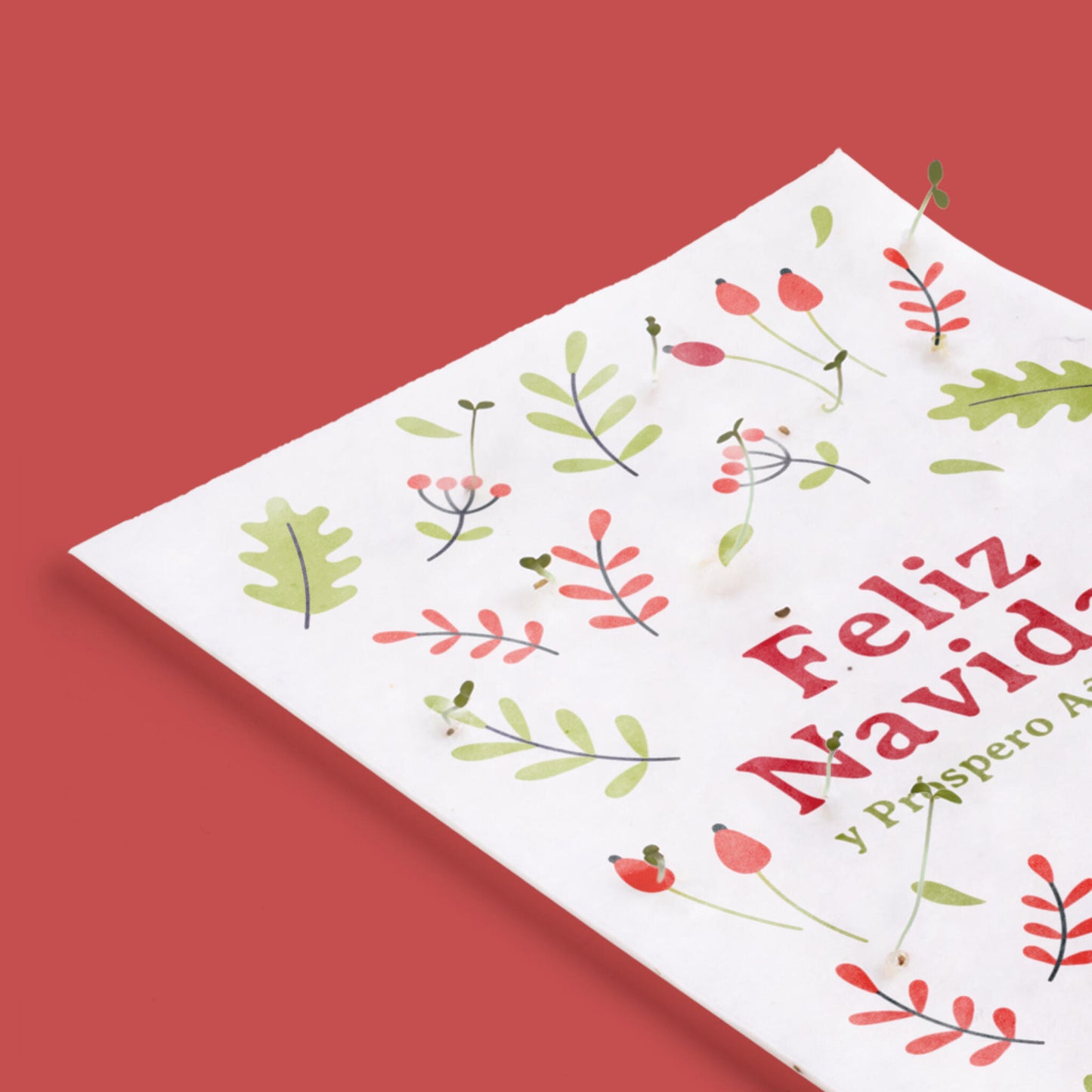 Postal Plantable Feliz Navidad Y Próspero Año Nuevo – Papel De Algodón Reciclado - Resetea_3