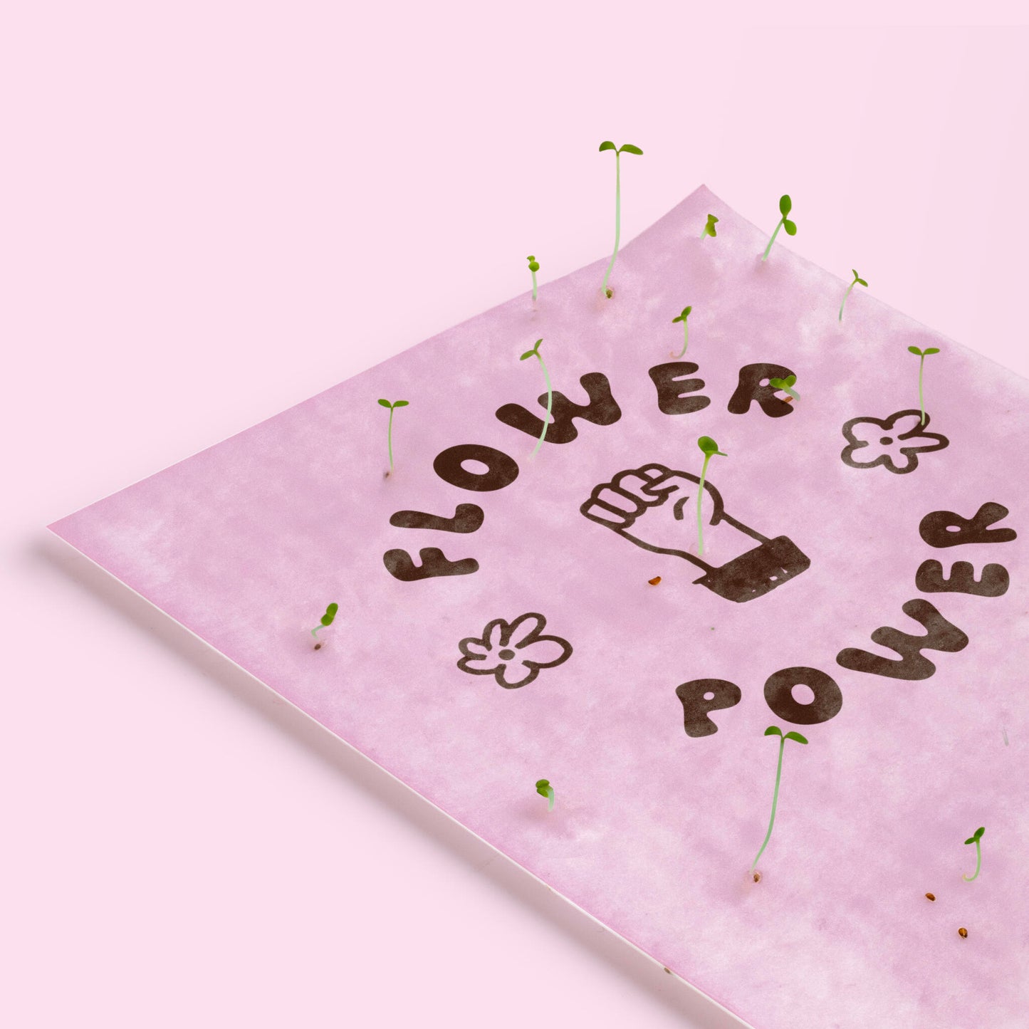 Postal Plantable Flower Power Con Semillas De Flores – Papel De Algodón Reciclado - Resetea_2