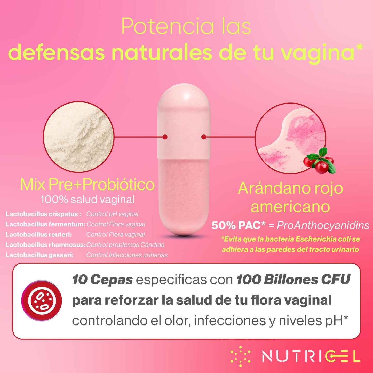 Probione Femme® - Probióticos Vaginales 10 Cepas Especificas + 100 Billones Ufc_2