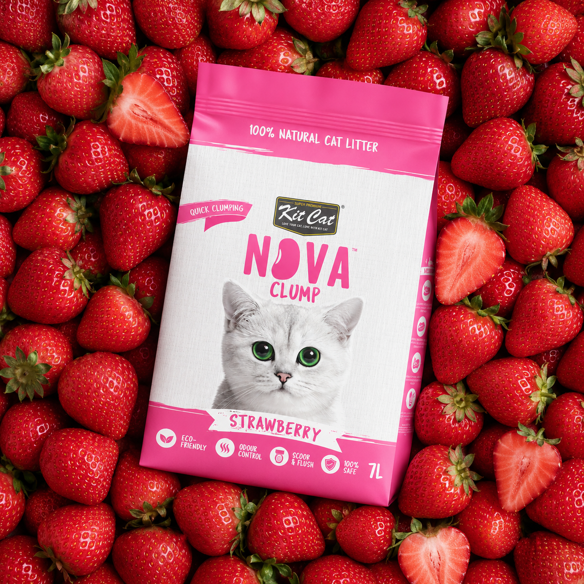 Pack de 6 Kit Cat Arena Eco SoyaClump - Areia para gatos Morango 7 L