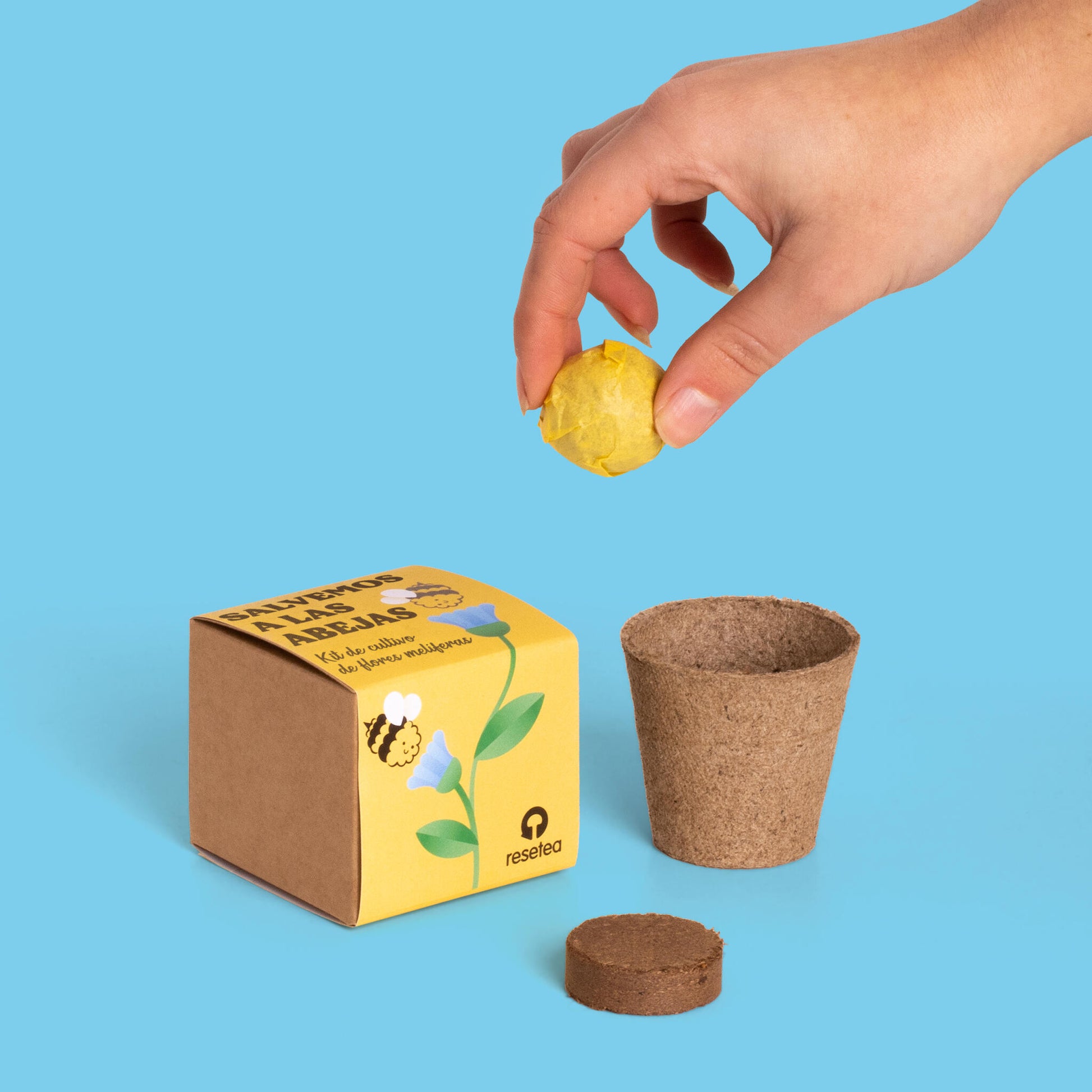Salvemos a las Abejas – Kit Flores Melíferas con Bomba de Semillas, Regalo Educativo - Resetea_3