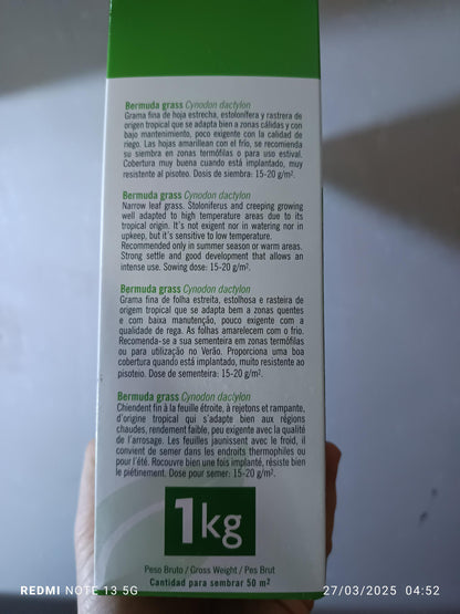 Semillas De Cesped Bermuda Grass Caja 1 Kg._1