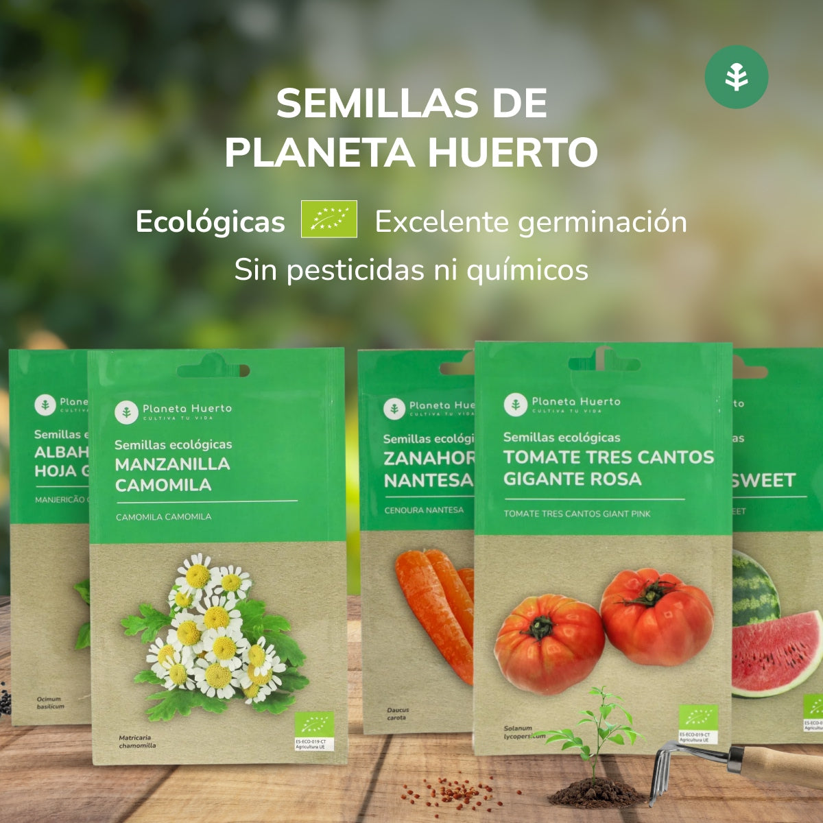 Pack de Semillas ECO "Ensaladas de Otoño"
