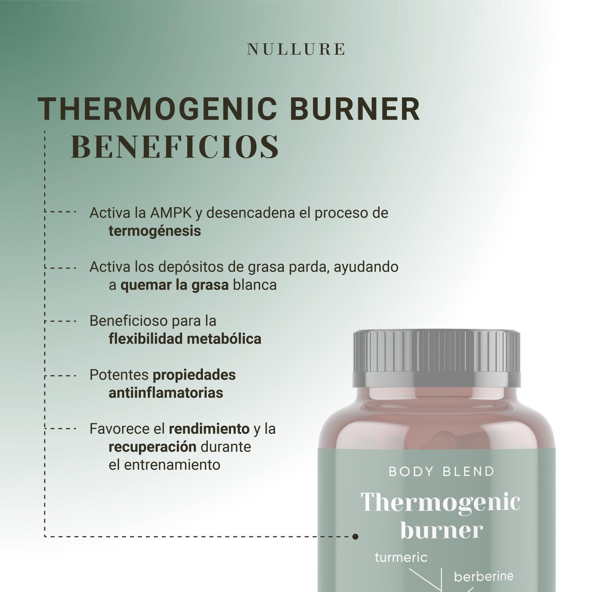 Termogénico quemagrasas – adelgazante natural con té verde, cúrcuma y resveratrol (120 cápsulas)_1