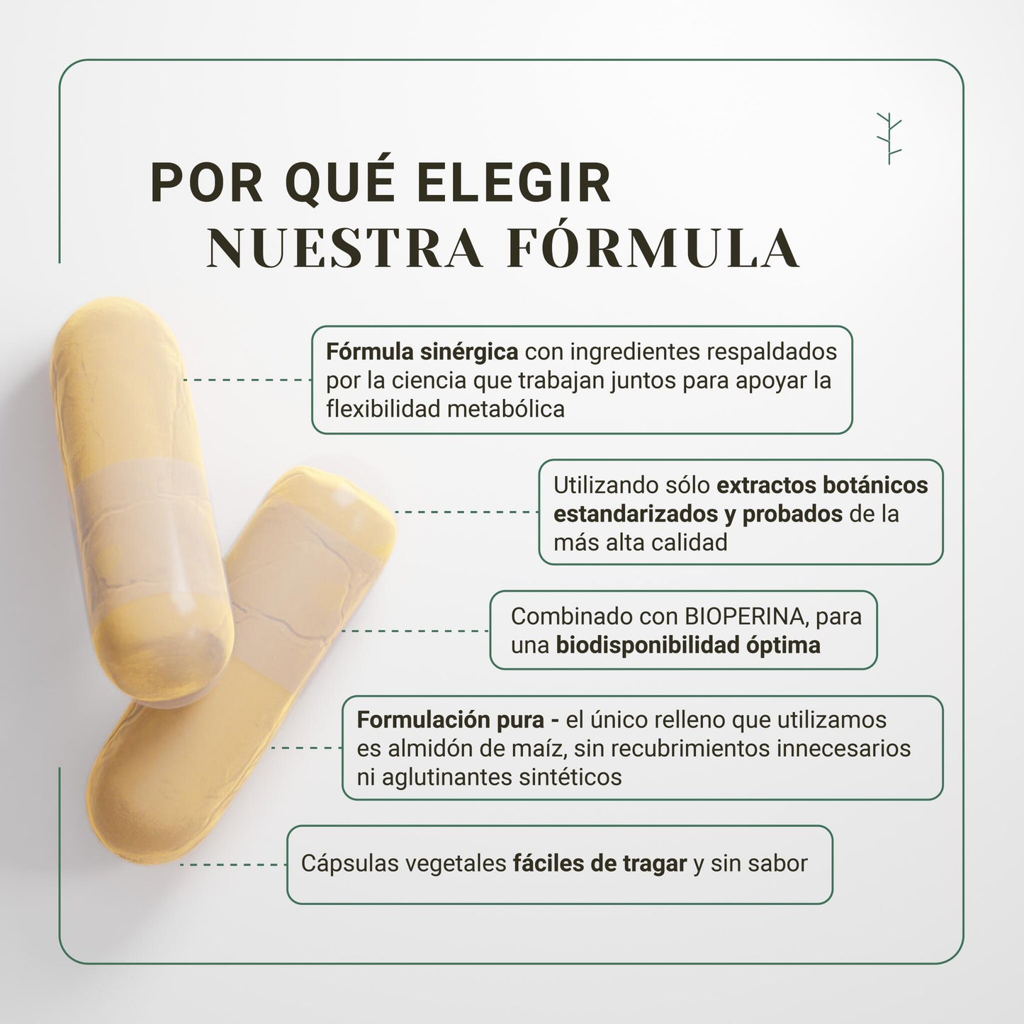 Termogénico quemagrasas – adelgazante natural con té verde, cúrcuma y resveratrol (120 cápsulas)_2