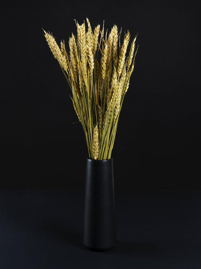 Trigo Seco_2