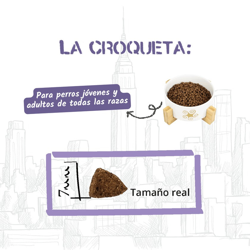 Pienso para Gatos de Interior Esterilizados Urban Lenda 2 kg