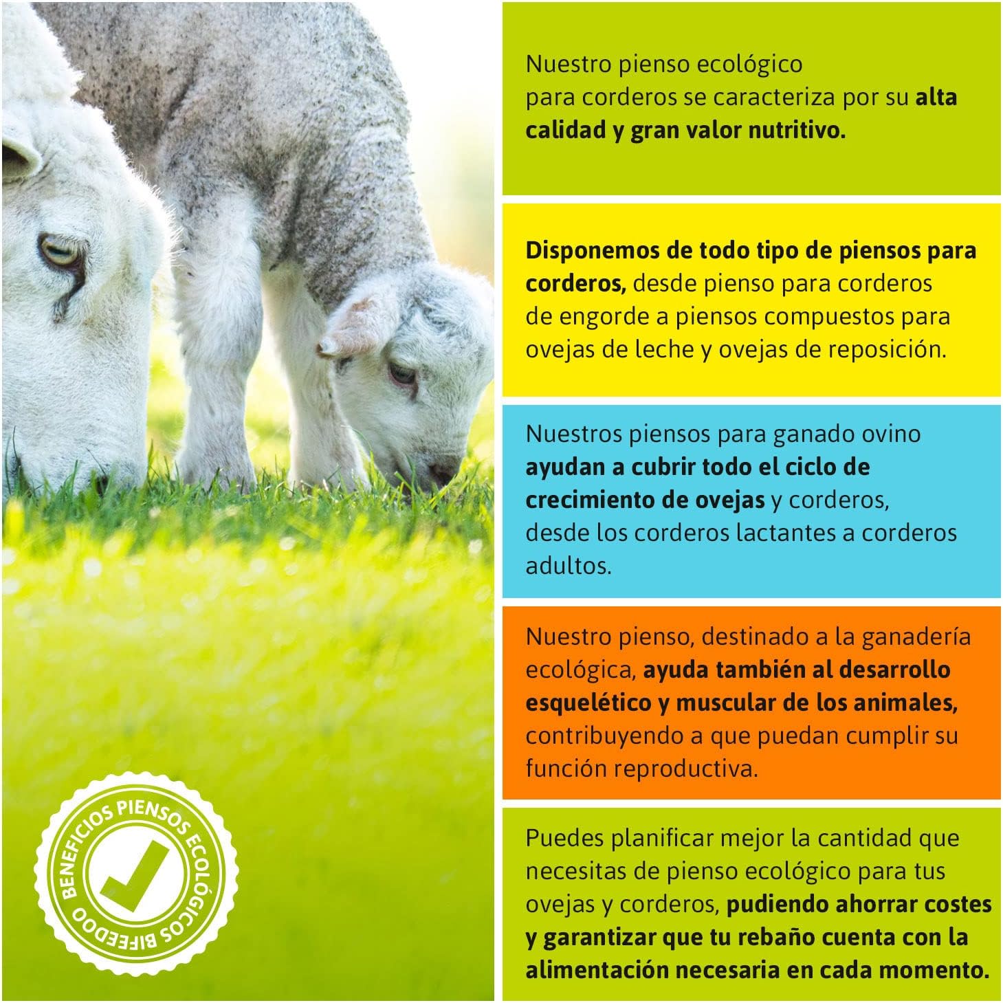 Pienso ECOLÓGICO para Corderos 20kg - Alimentación Natural y Nutritiva Pienso para Corderos con Ingredientes de Calidad_2