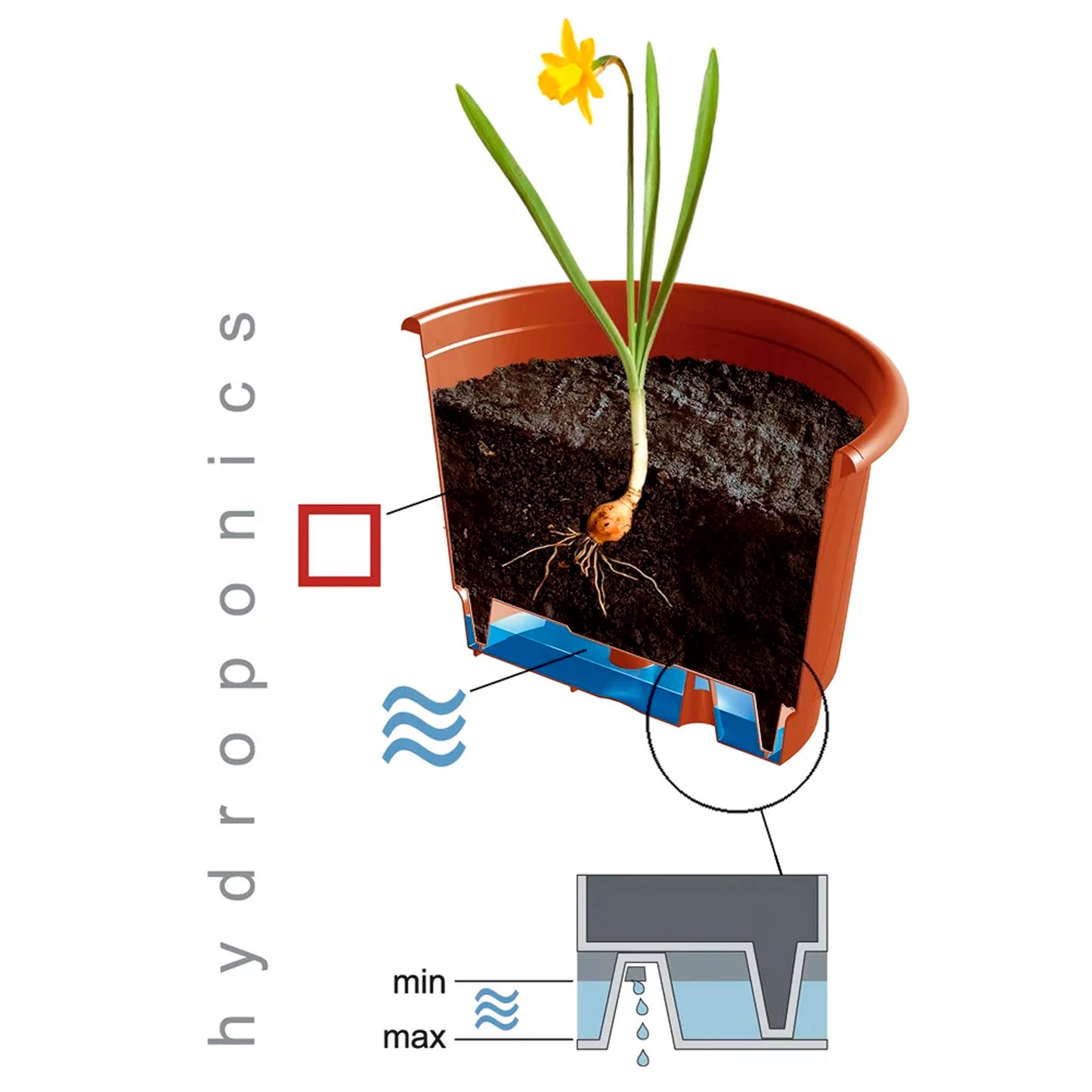 Macetero Colgante Pro 5l., Dimensiones (mm) 240x240x155, Color Blanco