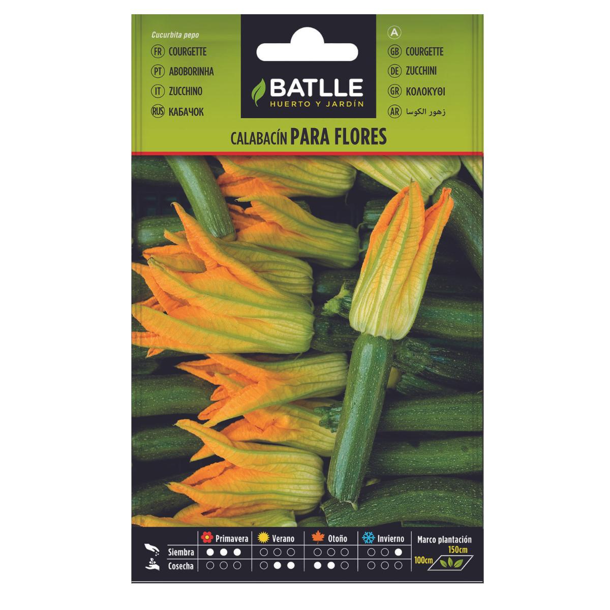 Sementes de Curgete para Flores Batlle