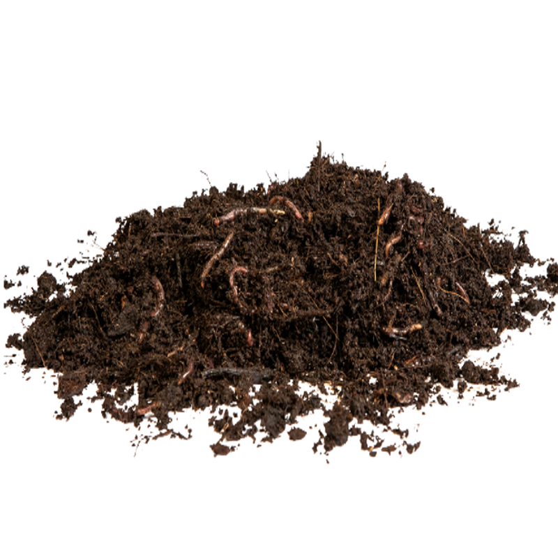 Pack Vermicompostador Lombrihogar + 300 Lombrices + Fibra De Coco_1